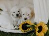 17-DSC_1955
