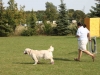 welpentreffen2013_648