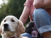 welpentreffen2013_754