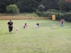 welpentreffen2013_771