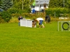 welpentreffen2013_149