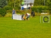 welpentreffen2013_150