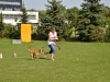 welpentreffen2013_154