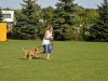 welpentreffen2013_155
