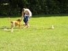 welpentreffen2013_157