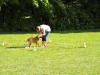 welpentreffen2013_158
