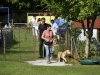 welpentreffen2013_162