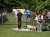 welpentreffen2013_164