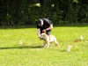 welpentreffen2013_246