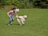 welpentreffen2013_255