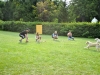 welpentreffen2013_402
